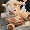 Zippy el Peluche Veloz